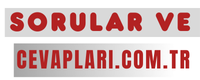 Sorular