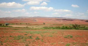 İç Anadolu Bölgesi'nin bitki örtüsü nedir?