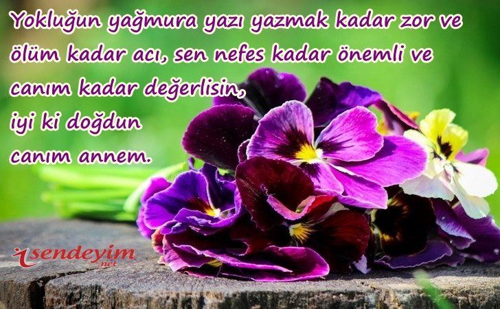 Resimli Anneye Doğum Günü Mesajları