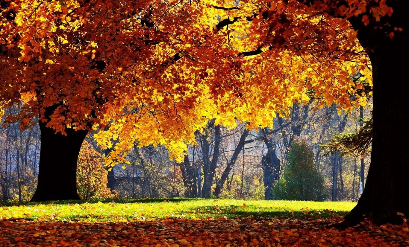 Sonbahar Masaüstü Resimleri En Güzel Sonbahar Resimleri Fotoğrafları Görselleri- Resim 
